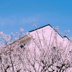 دانلود اهنگ حال خوش من با تو پایان ندارد